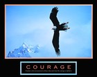Picture for song 'Courage Composed' by artist 'Vertiflow'