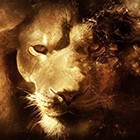 Picture for song '----- SOLD ----- LIONHEART' by artist 'VEYSIGZ BEATS'