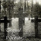 Picture for song 'Revelations' by artist 'Videl'