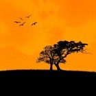 Picture for song 'Nothing new under the sun' by artist 'vintagevibesbeats'