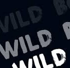 Picture for song 'Wild Boy' by artist 'vintagevibesbeats'