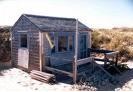 Picture for song 'Beach Shack' by artist 'VMP (USA)'