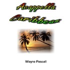 Picture for song 'HE DONE DONE' by artist 'Wayne Pascall Acappella'