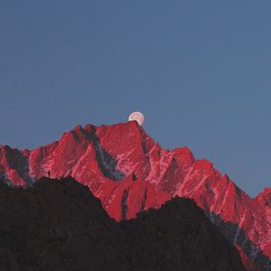 Picture for song 'PlayboiCarti x Pi'erreBourne Type Beat - "Diamond"' by artist 'WHAT?BOYBEATS'