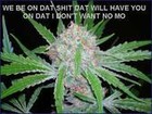 Picture for song 'high as f***' by artist 'WHITE BOI ROY aka SMOKENBABY'