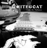 Picture for song 'Smile' by artist 'White Goat'
