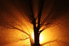 Picture for song 'Across the Underworld' by artist 'White Noise Radio'