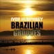 Picture for song 'Brazilian Nights' by artist 'William Ivor Humphrey'
