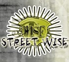 Picture for song 'Wise Decisions' by artist 'WISE (PNR)'