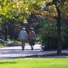 Picture for song 'Time Song' by artist 'Wolfini'