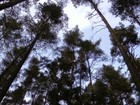 Picture for song 'Nothing For Me' by artist 'Worlds'