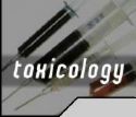 Picture for song 'Toxicology' by artist '(WSK) West Side Krew'