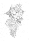 Picture for song '(Waiting For You)Ft Azn Thugish' by artist 'Yaungsta'