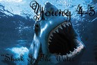 Picture for song 'Shark In The Water' by artist 'Young 4-5'