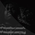 Picture for song 'Iced Out (The Beat Tape v1)' by artist 'Young Digital'