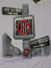 Picture for song 'We Gonna Ride' by artist 'Young P (gangsta)'