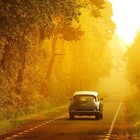 Picture for song 'Last Lyrics *NOTAGS*' by artist 'Young Starz Music'