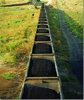 Picture for song 'Coal Train Kept Rollin'' by artist 'Zack6006'