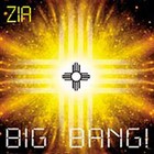 Picture for song 'Plastic' by artist 'ZIA (US)'