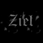 Picture for song 'Without You' by artist 'Ziel'