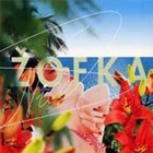 Picture for song 'Velociped' by artist 'Zofka'