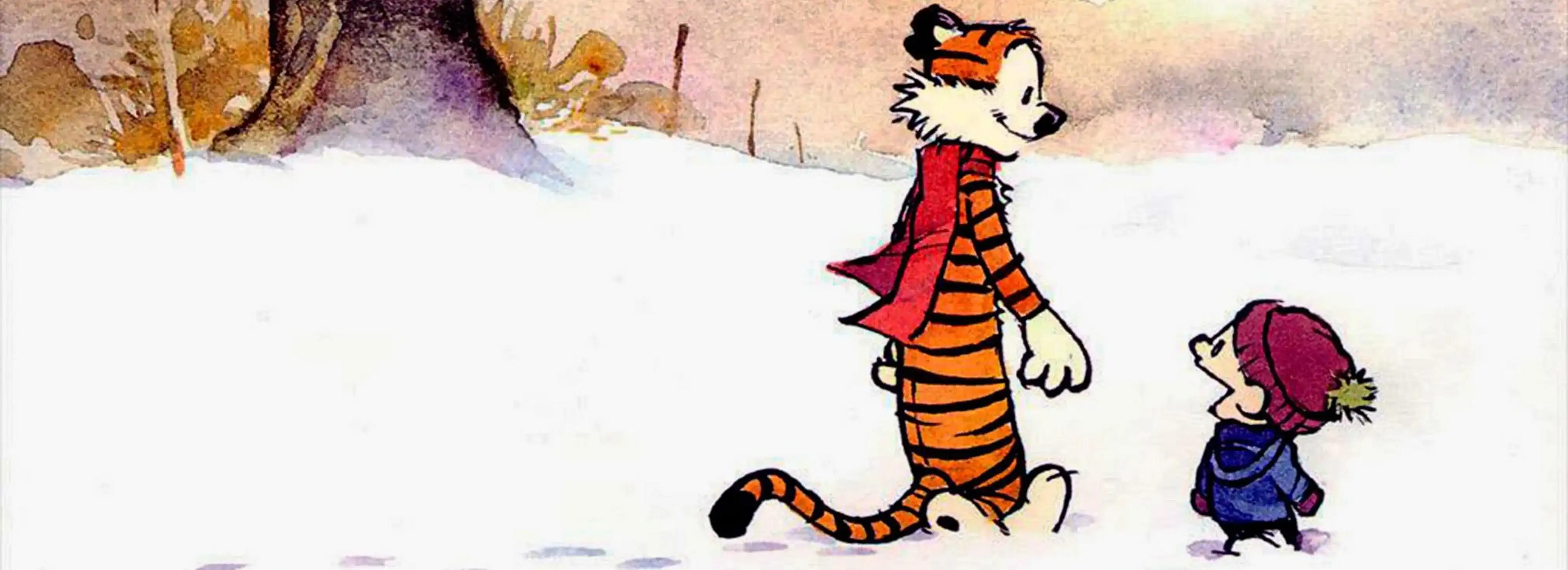 cover pic