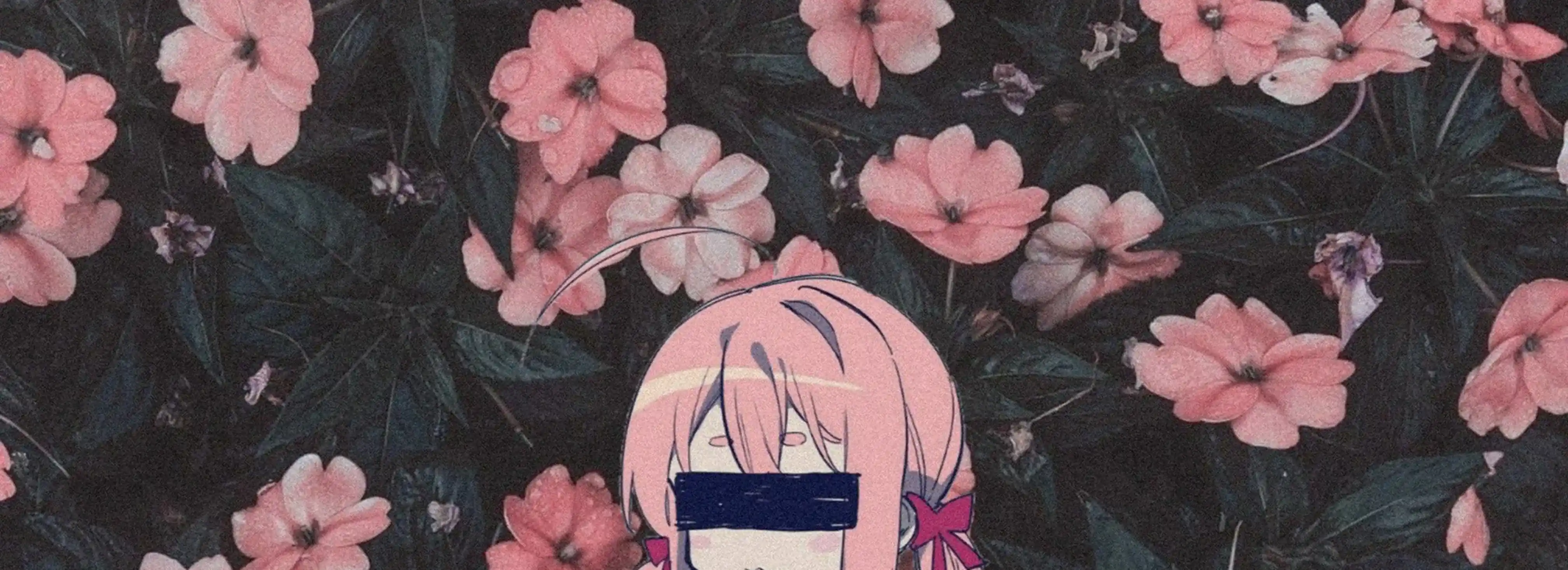cover pic