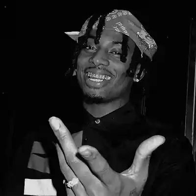 Picture for song 'Playboicarti Type Beat' by artist '3ONE PLUG'