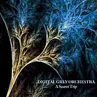 Picture for song 'Synthetic Waves' by artist 'Digital Grey Orchestra and Fractal Garden'