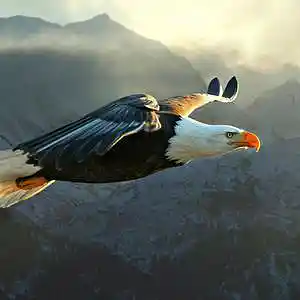 Picture for song 'Altitude (93 BPM) Motivational Type Beat' by artist 'Jordan Stream - Beastin Bangers Studios LLC'