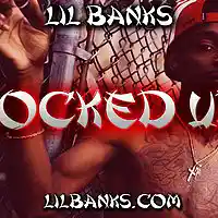 Picture for song 'Locked Up Prod By @LilBanksReal' by artist 'Lil Banks Productions'