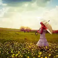 Picture for song 'something in the rain' by artist 'missing furniture'