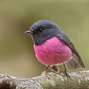 Picture for song '15:09' by artist 'mR.oman'