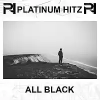 Picture for song '*NEW* All Black (SOLD)' by artist 'Platinum Hitz'