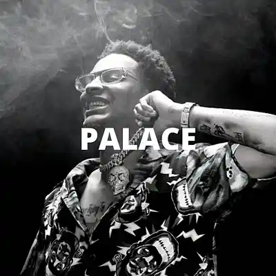 Picture for song 'Palace (Buy 1 Get 10 Free)' by artist 'Kontraa'