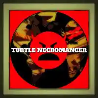Picture for song 'Drop D STEP' by artist 'Turtle Necromancer'
