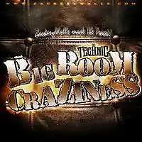Picture for song 'Big room Craziness' by artist 'ZackeryWalls Made The Track!'