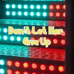 Picture for song 'Don't Let Her Give Up' by artist 'Anac On The Beat'