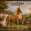 Picture for song 'O Lusitano' by artist 'Albertino Fernandes'