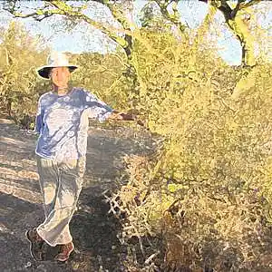 Picture for song 'Come Around Again' by artist 'Beth Jetton'