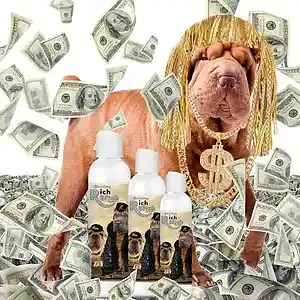 Picture for song 'Pooch2pound up' by artist 'ART THA THESE SNUG AKA SMUG RAP MUSIC'