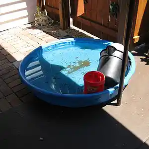 Picture for song 'lets make the water turn black' by artist 'dave musselman'