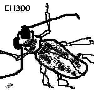 Picture for song 'EH300' by artist 'Eizi Hirahara'