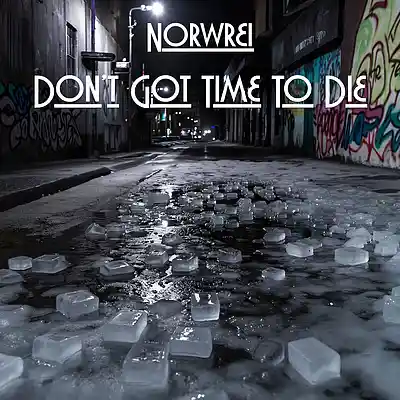 Picture for song 'Don't Got Time To Die' by artist 'Norwrei'
