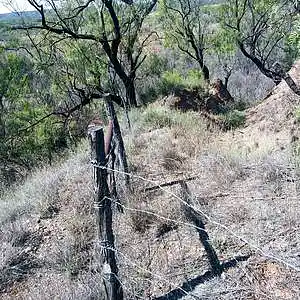 Picture for song 'Punk Wood: Jayton Session' by artist 'paul gorman and the hypnotist collectors'