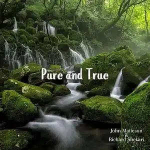 Picture for song 'Pure and True' by artist 'Richard Shekari'