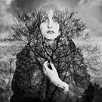 Picture for song '!RiseAgain ' by artist 'Sean Original'