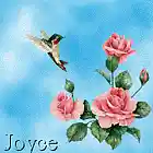 Picture for song 'Leprechauns and Cluricauns' by artist 'Shaggy Dog'