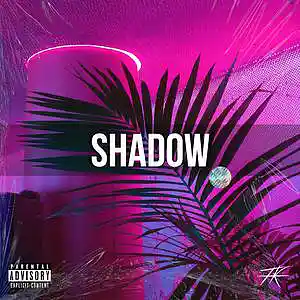 Picture for song 'SHADOW x Lil Tecca x Polo G Type Beat' by artist 'DezDrama Beats'