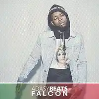 Picture for song 'Falcon (buy1 get 1 free, buy 2 get 2 free) ' by artist 'ruwaves'